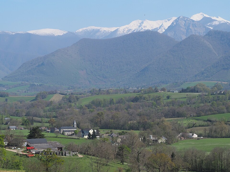 Lys Béarn