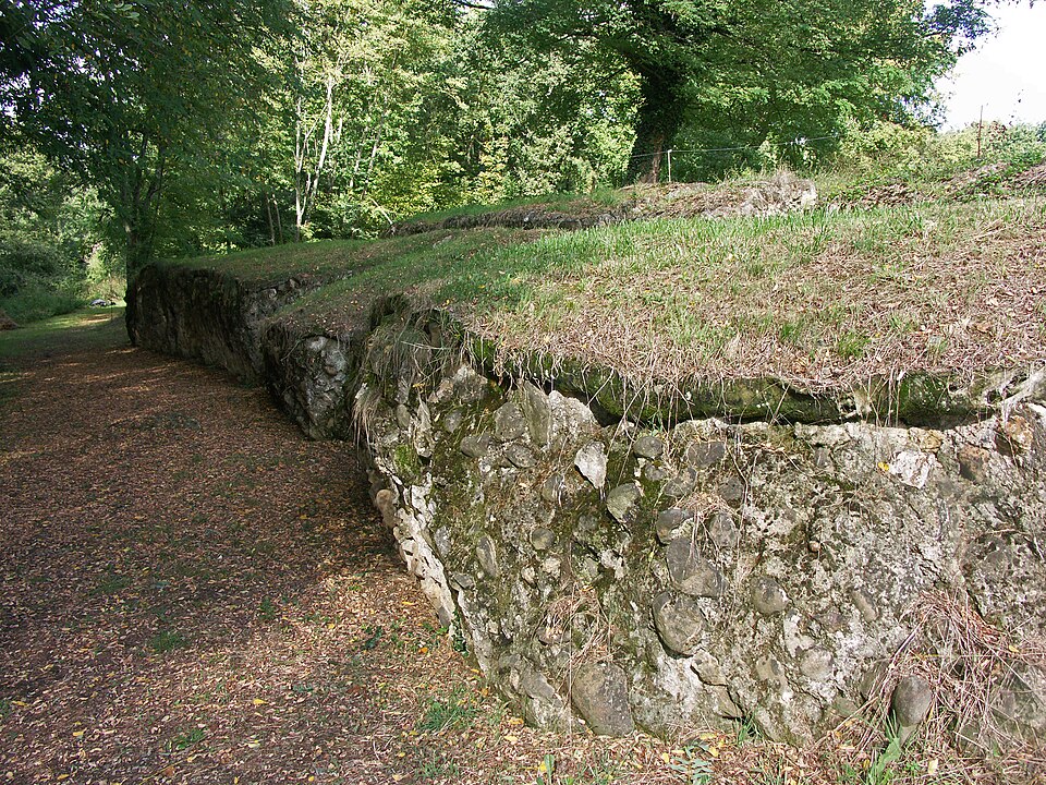 St Lézer (Hautes — Pyrénées) enceinte gallo — romaine