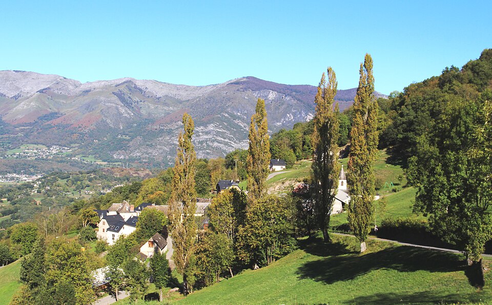 Vier — Bordes (Hautes — Pyrénées) 1