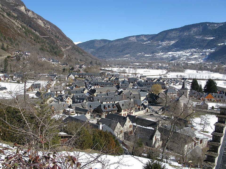 Vignec — Vue d'ensemble
