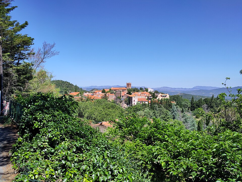 Camélas panorama