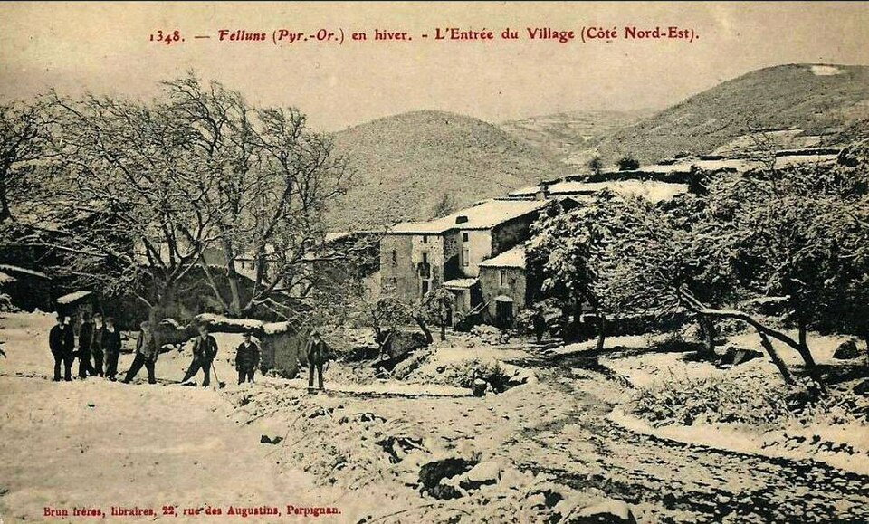 Felluns en hiver (CP Brun)