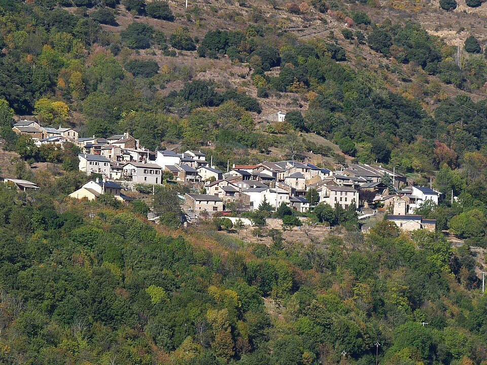 Oreilla vue1