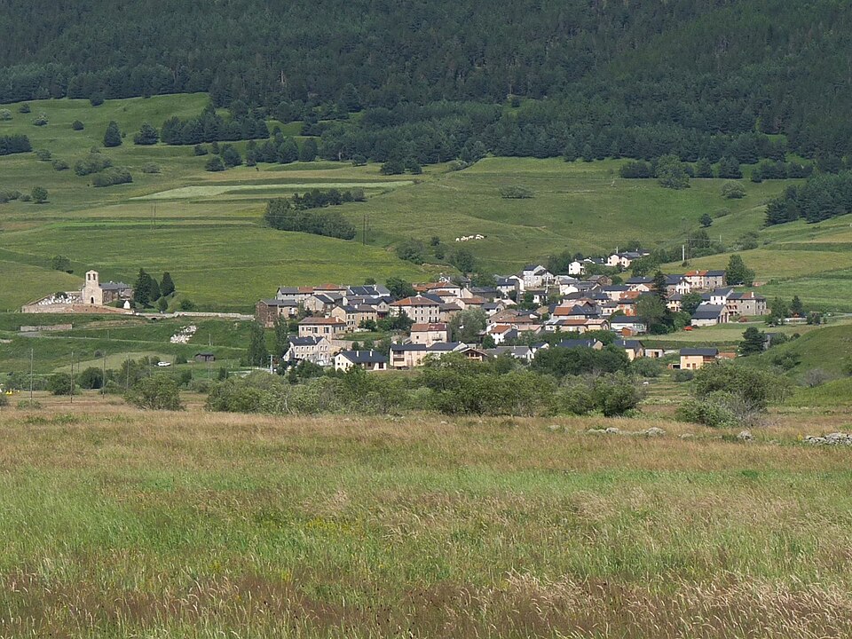 Real66 vue2