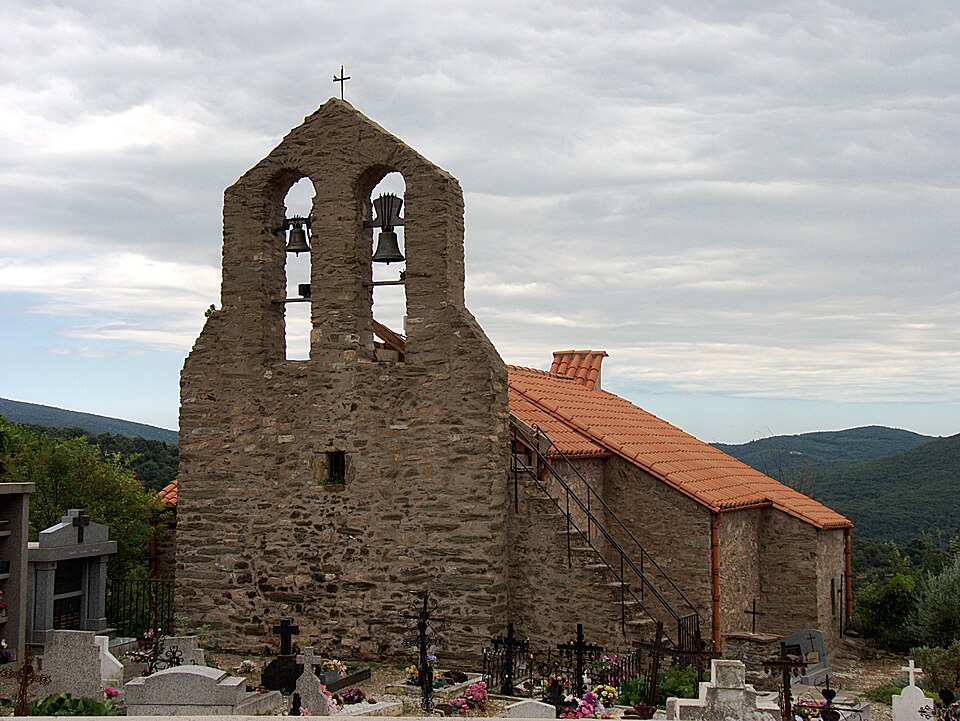 Taulis 2011 01