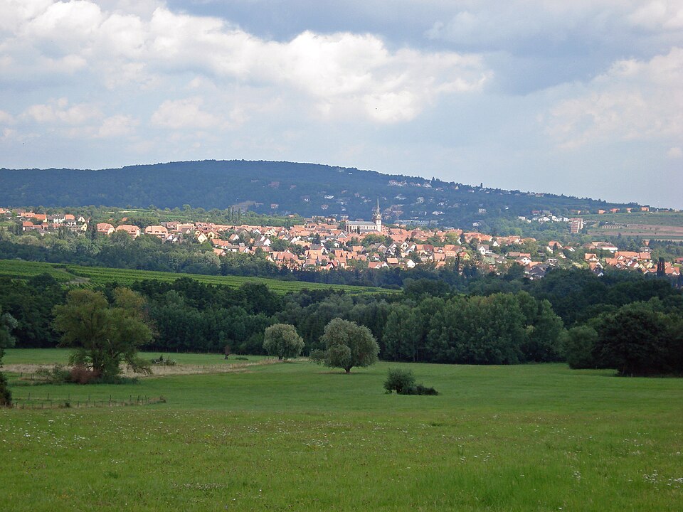 Bernardswiller 1