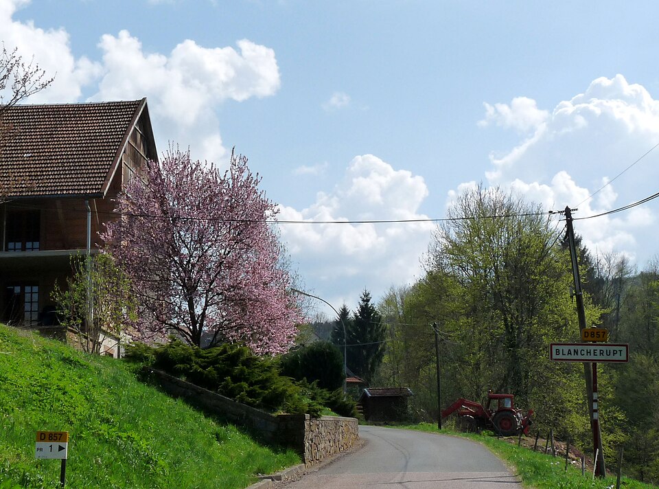 Blancherupt1