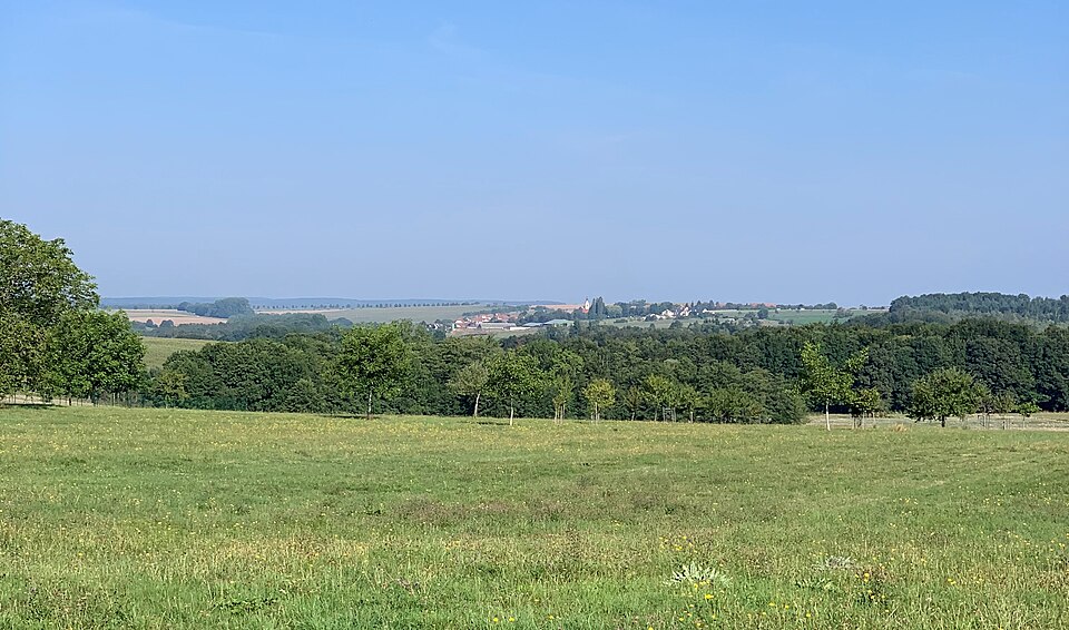Bust Village vu depuis Pfalzweyer
