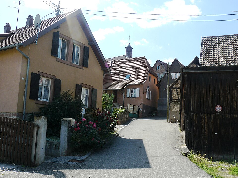 Dieffenthal 019