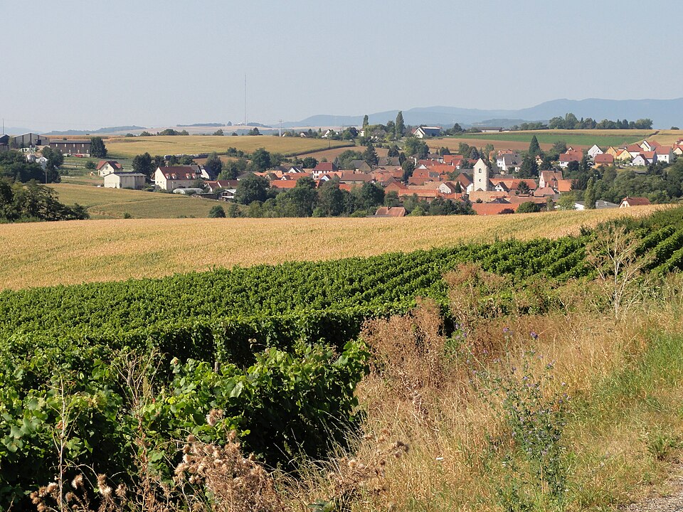 Kienheim 01