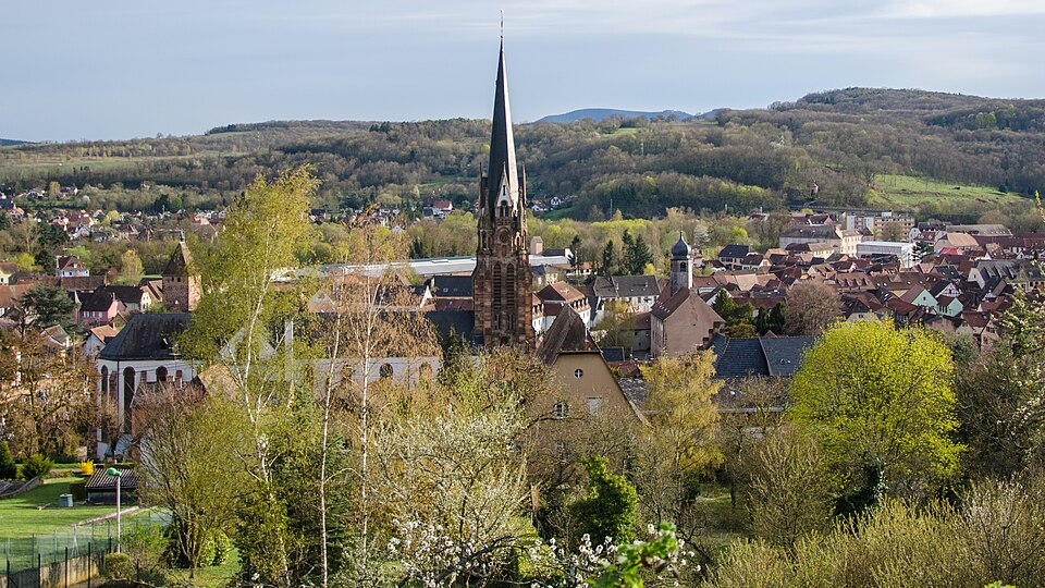 Mutzig depuis le Mutzigberg