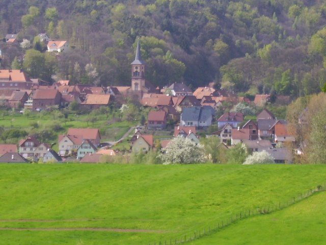 Offwiller vue depuis champs