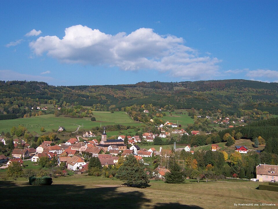 VueRanruptMoehre1992