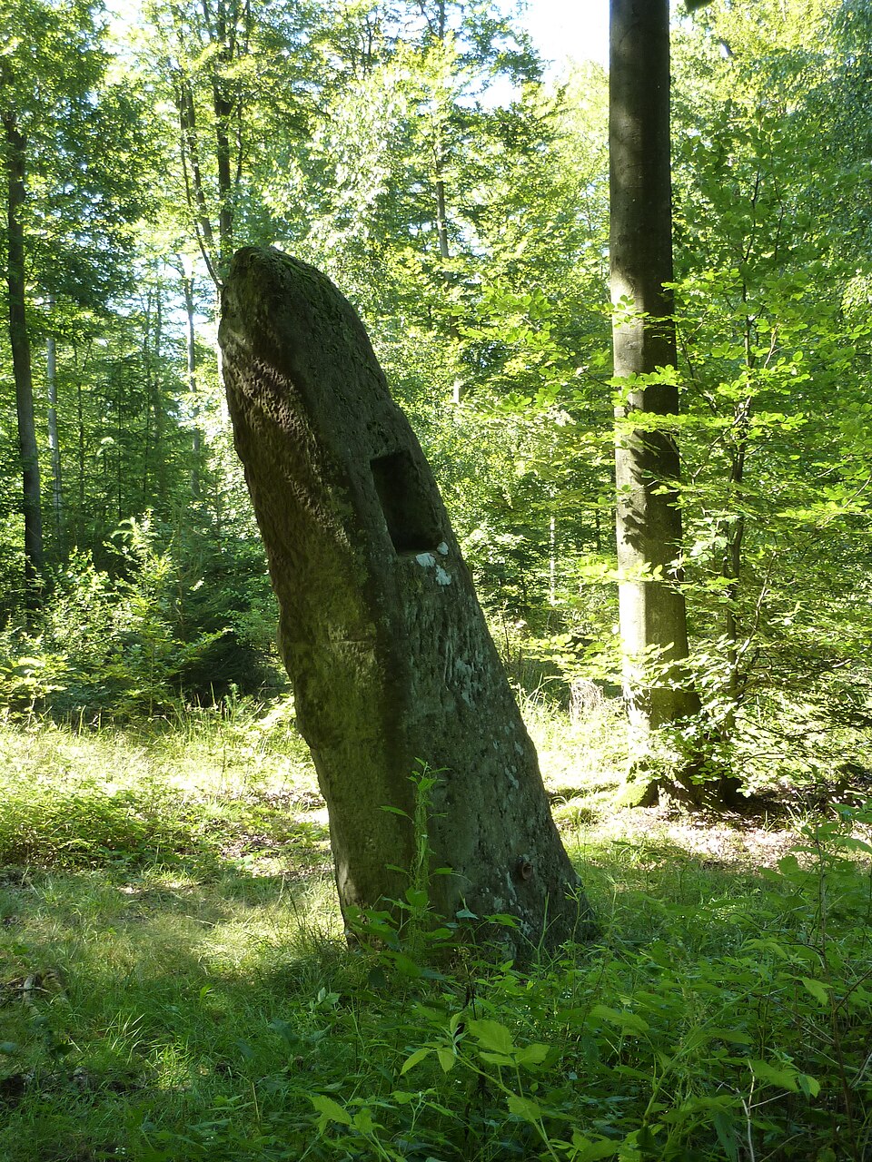 Fr Rosteig Menhir la Pierre Pointue