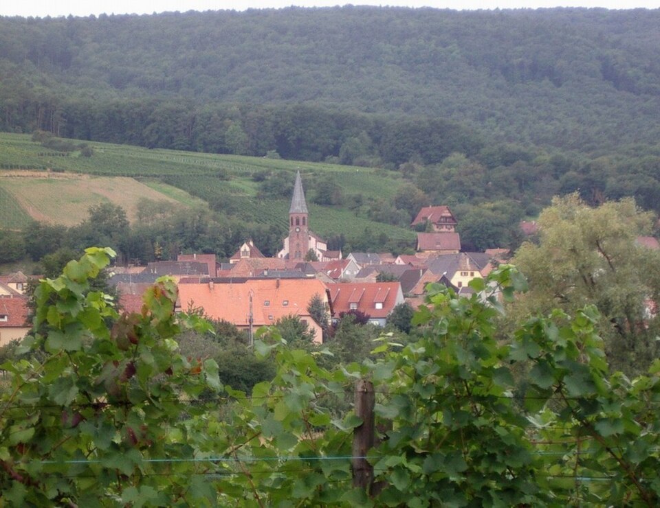 Bergholtz — zell