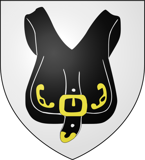 Blason de Kaysersberg Vignoble