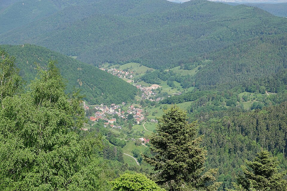 Vu de Wasserbourg depuis le Buchwald