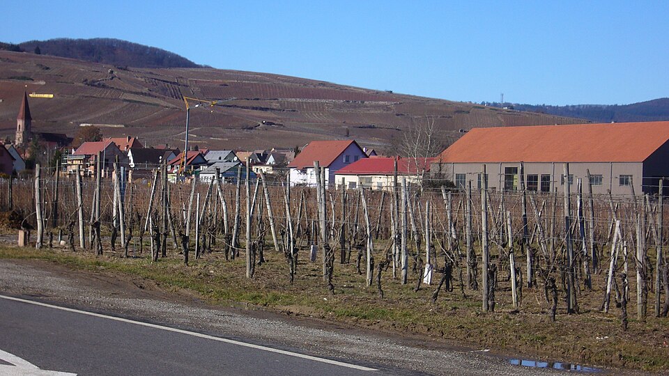 Wettolsheim 016