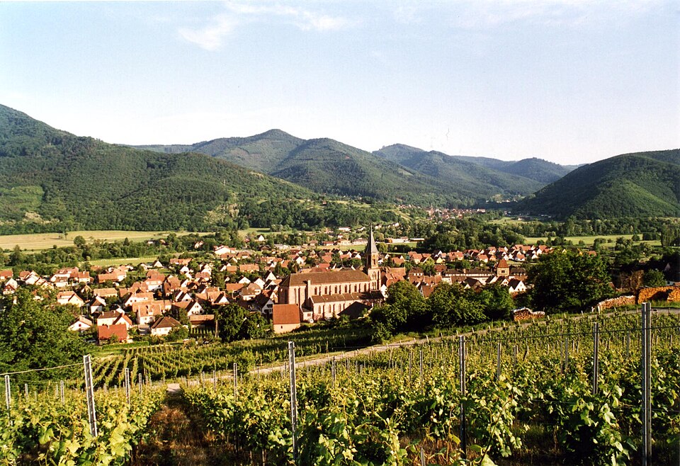 Wihr — au — Val seen from the vineyards