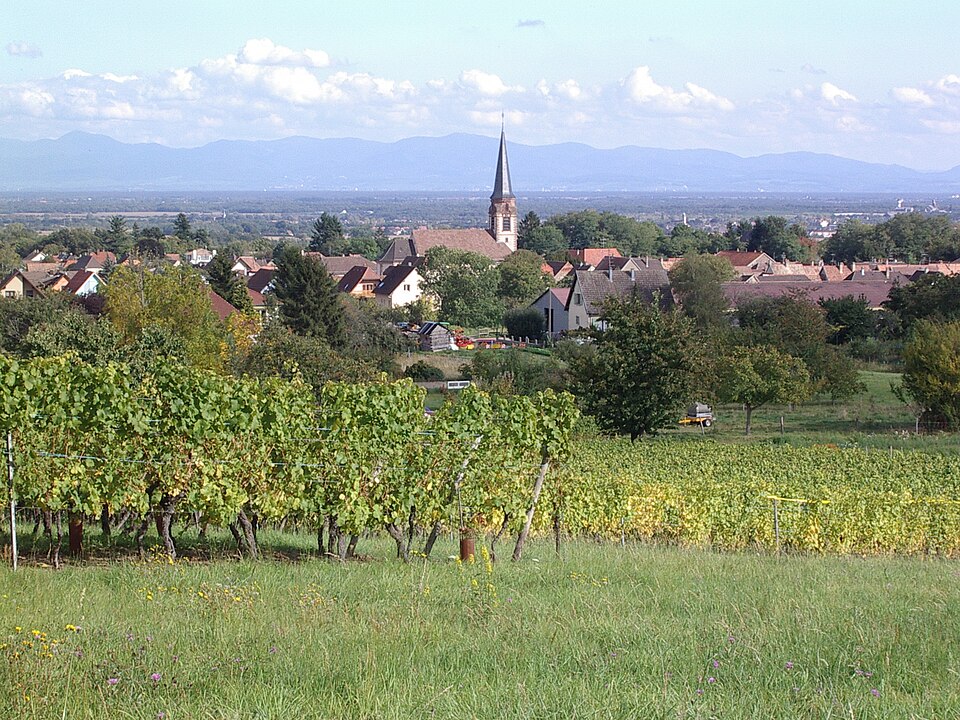 2010 10 01 Wuenheim
