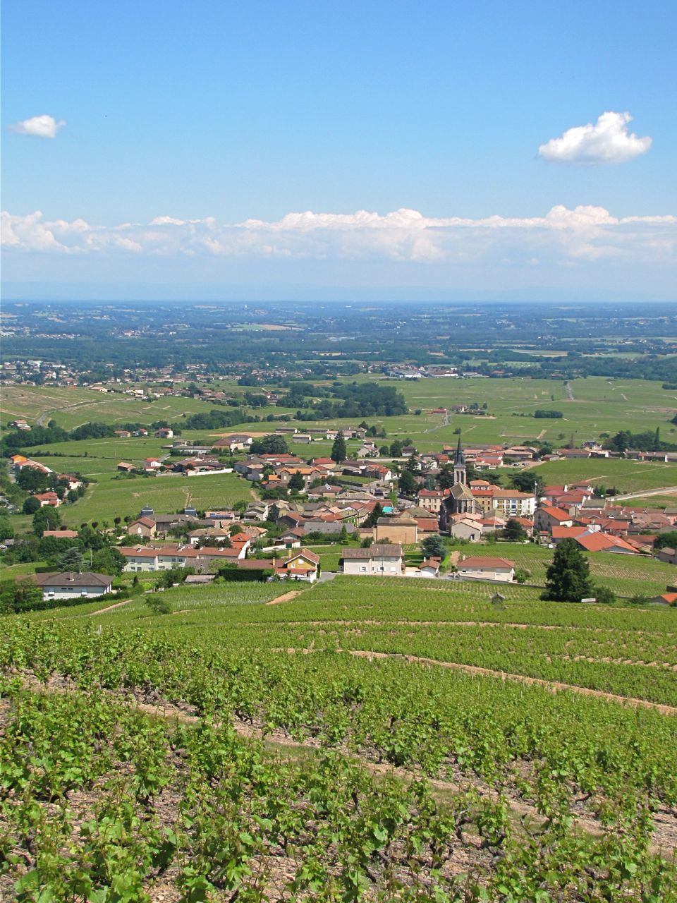 Fleurie Rhone France 28 May 2012