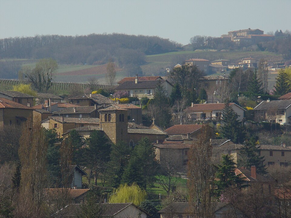 Pouilly le monial
