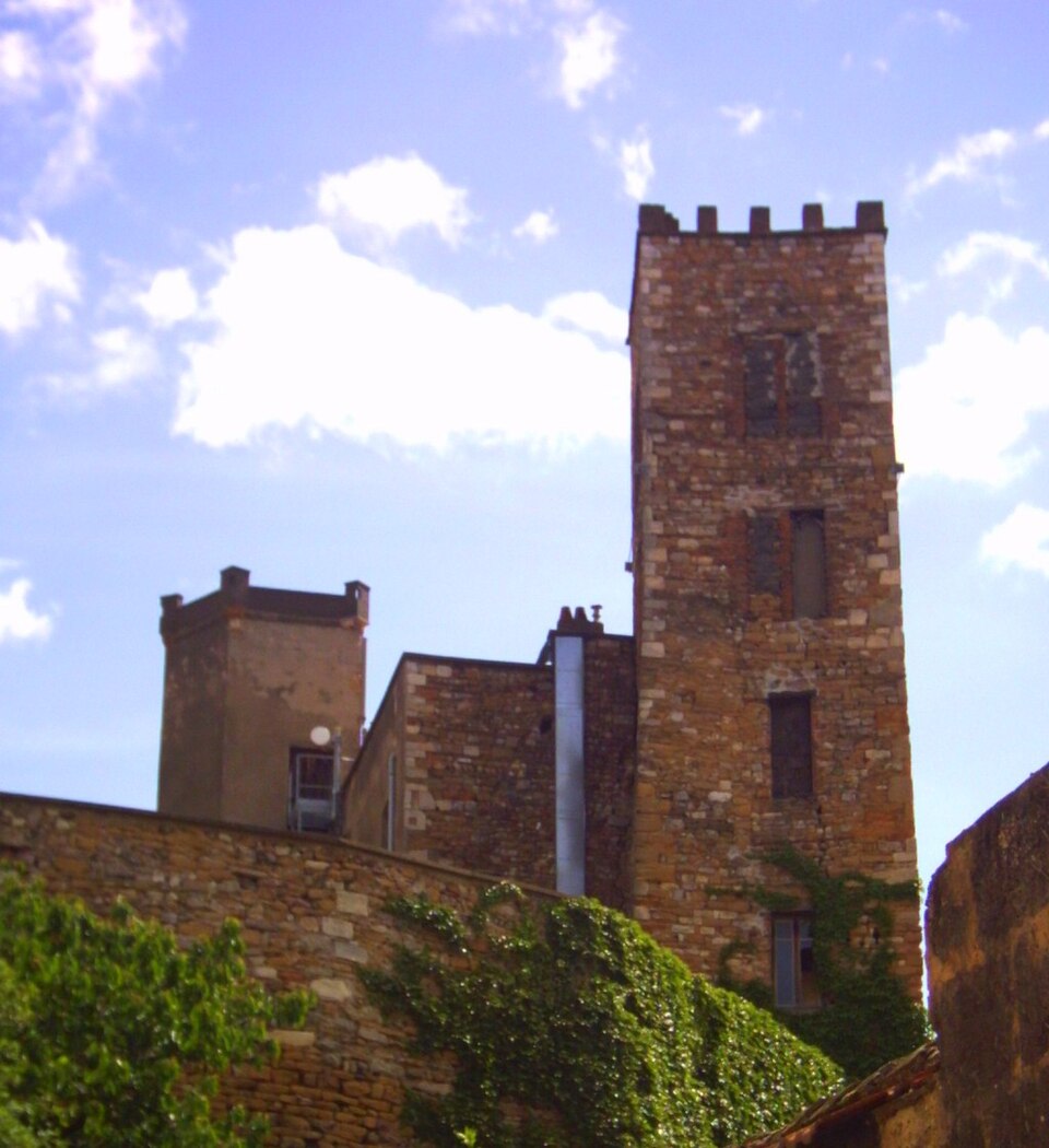 Vieux — chateau1