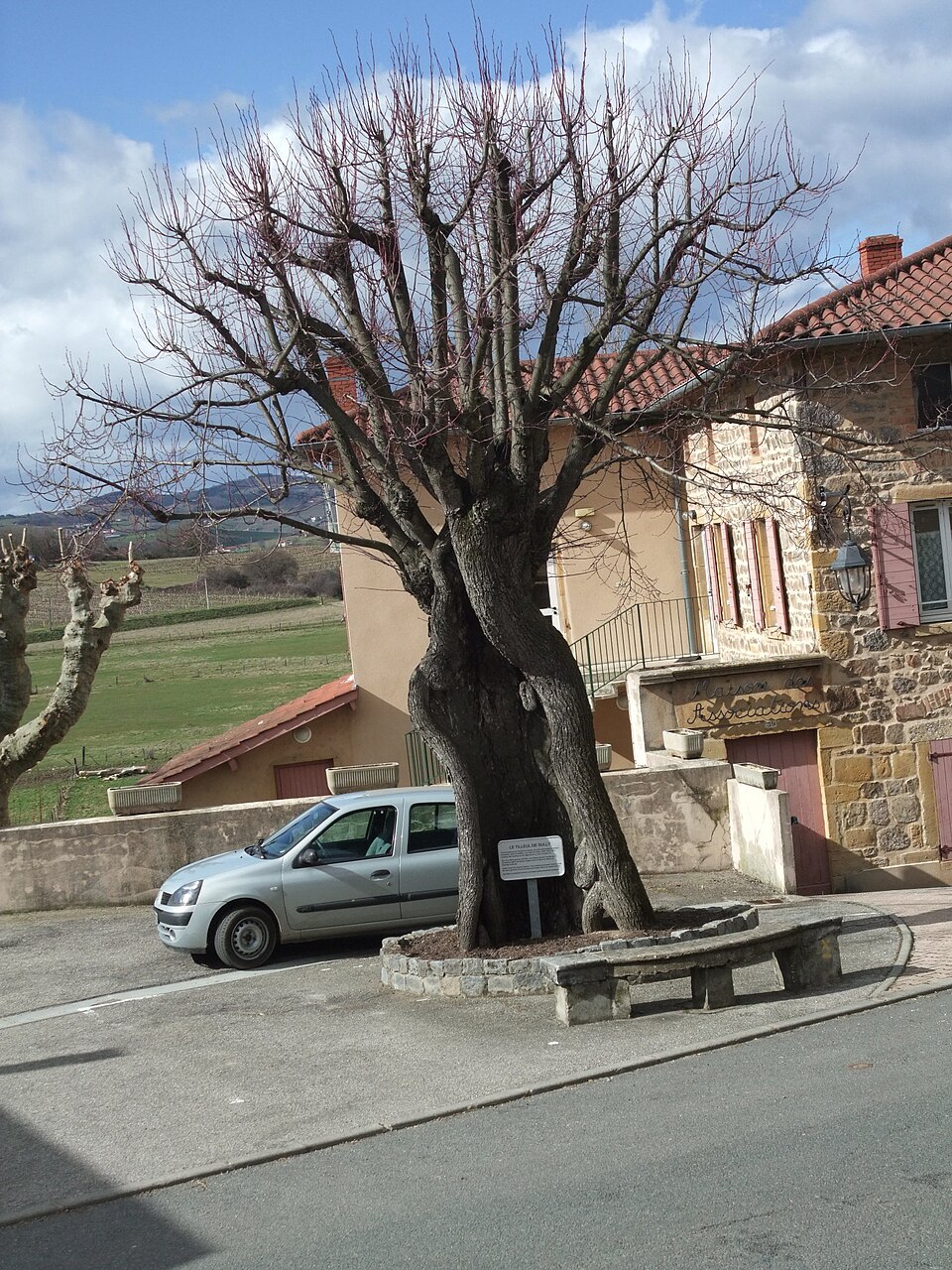 Sarcey Rhone Tilleul