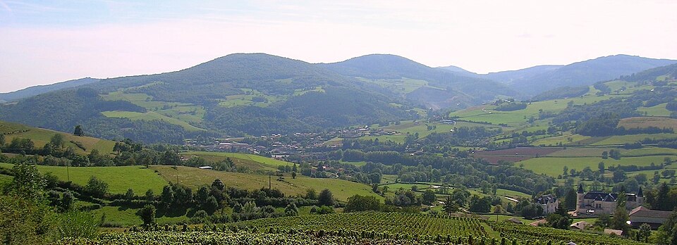 Panor chateau des ardillats + Saint — Didier — sur — Beaujeu