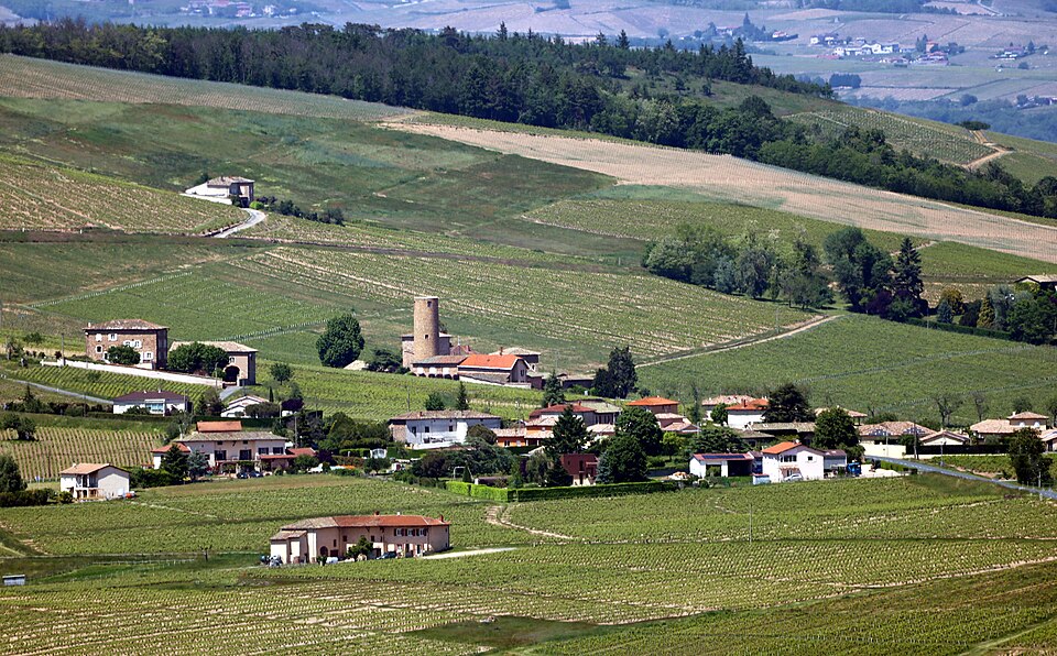 Saint Etienne des Oullières 69