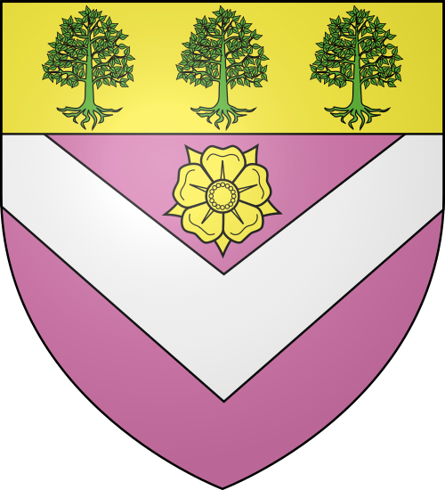 Blason de Vernay