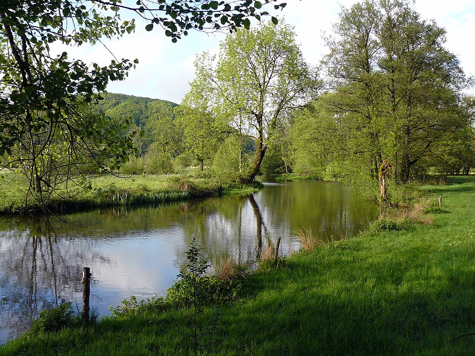 Breuchin1