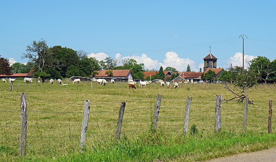 06 — Servigney — 01