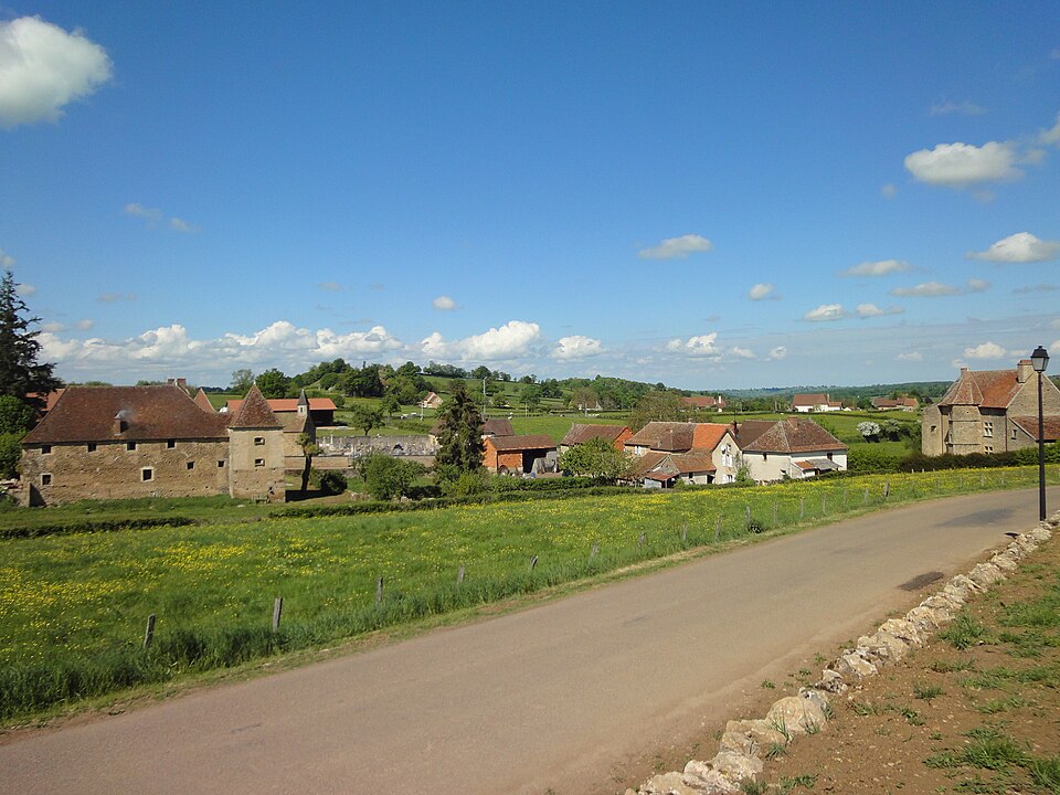Amanzé 2011