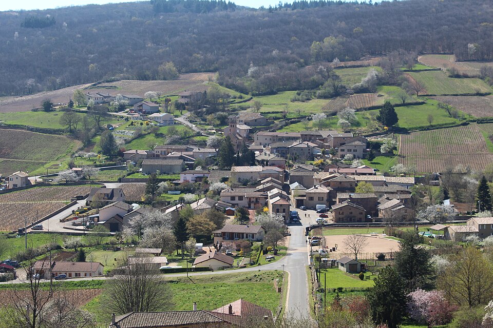 Chasselas village