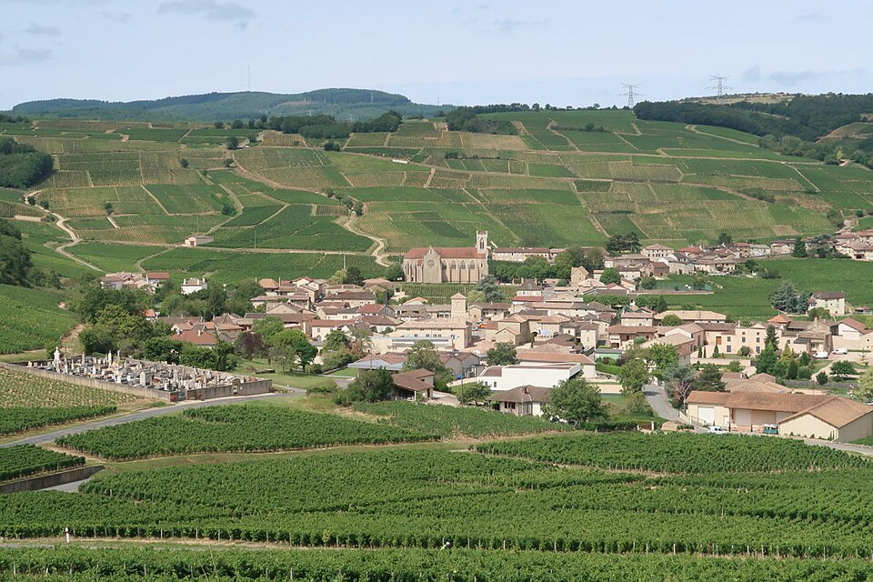 Fuisse