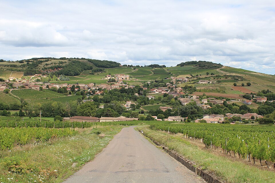 Vue depuis Rosière Leynes 7