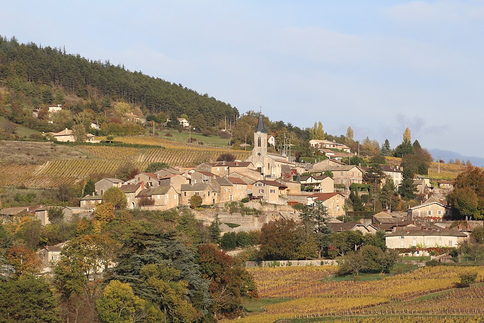 Vue bourg Roche Vineuse 3