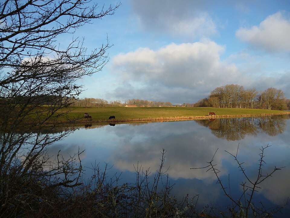 Etang de Brandon — Décembre 2011