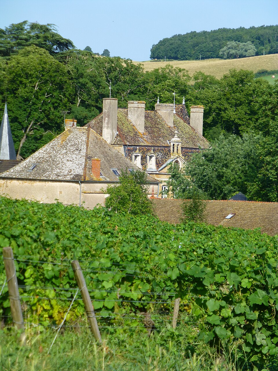 Château de Sassangy en été