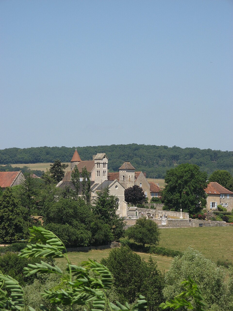 Church and Castle in Savianges (France)