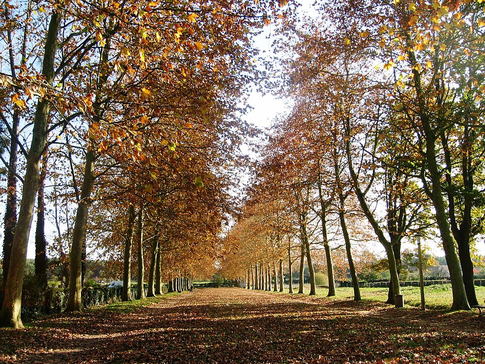 Allee — Fontenailles — Ecommoy — Sarthe