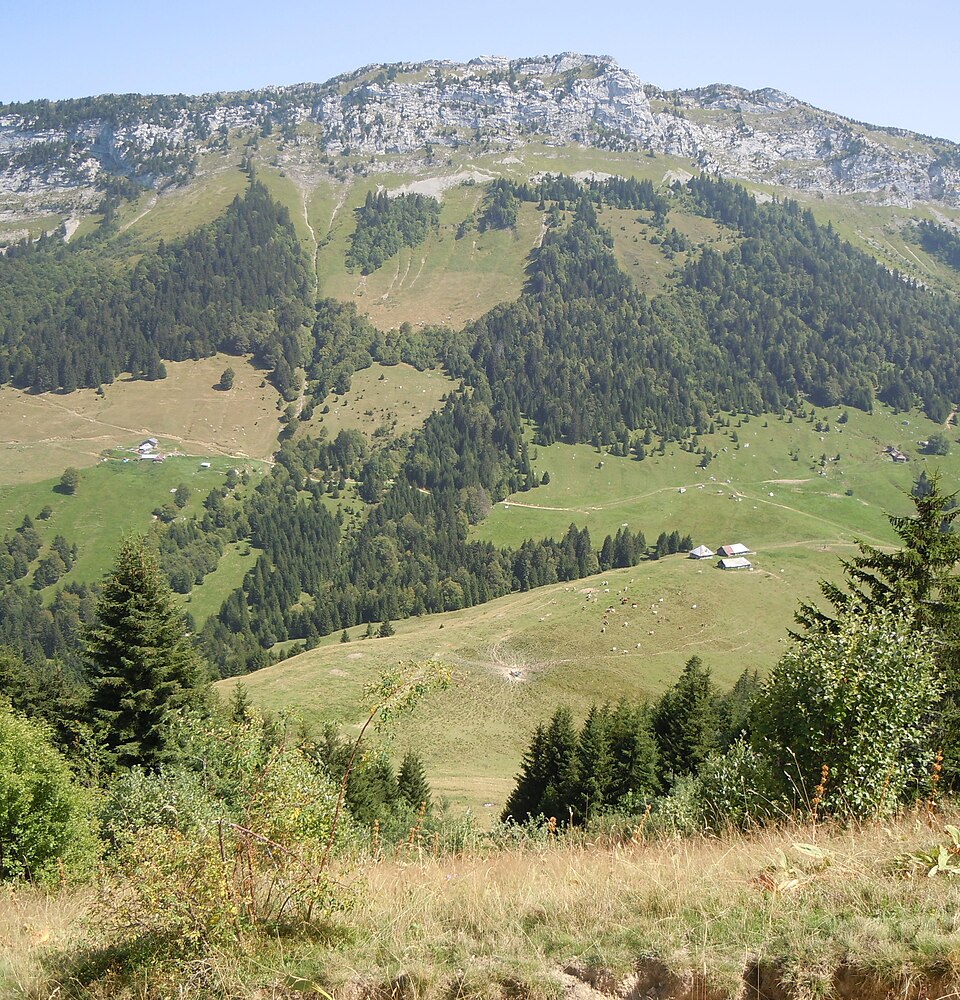 Col de Bornette depuis le crêt du Char