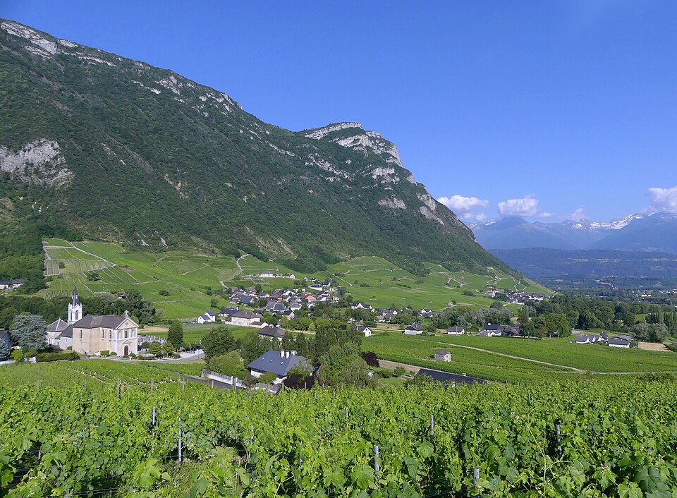 Chignin et ses vignobles au pied des Bauges en soirée (juin 2020)