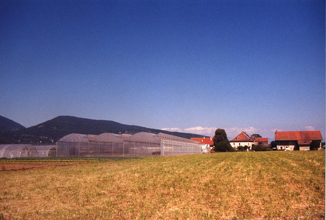 Commune d'Arthaz