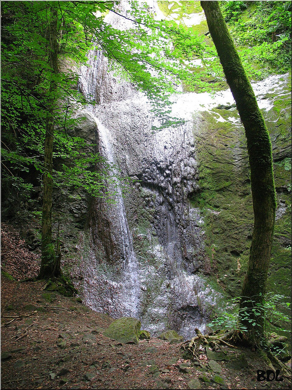 Cascade de Pisse — Vache à Brenthonne