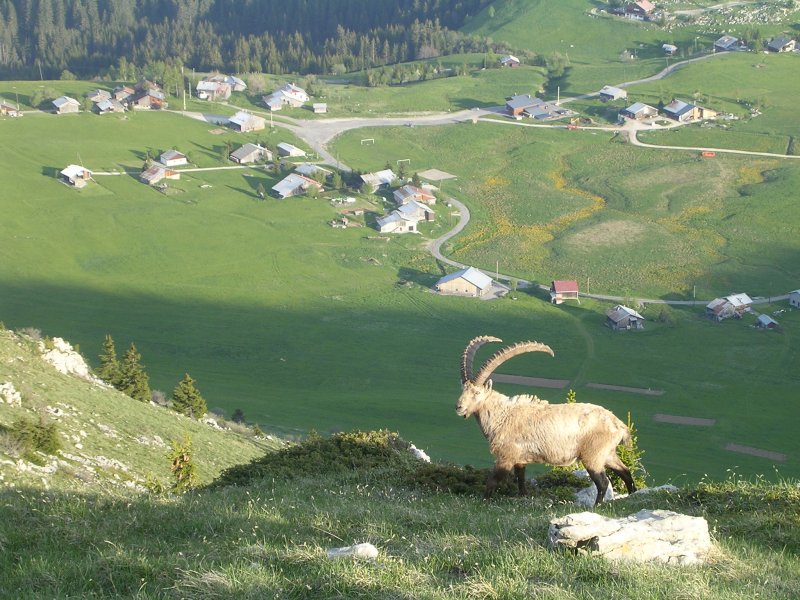 Plateau Solaison