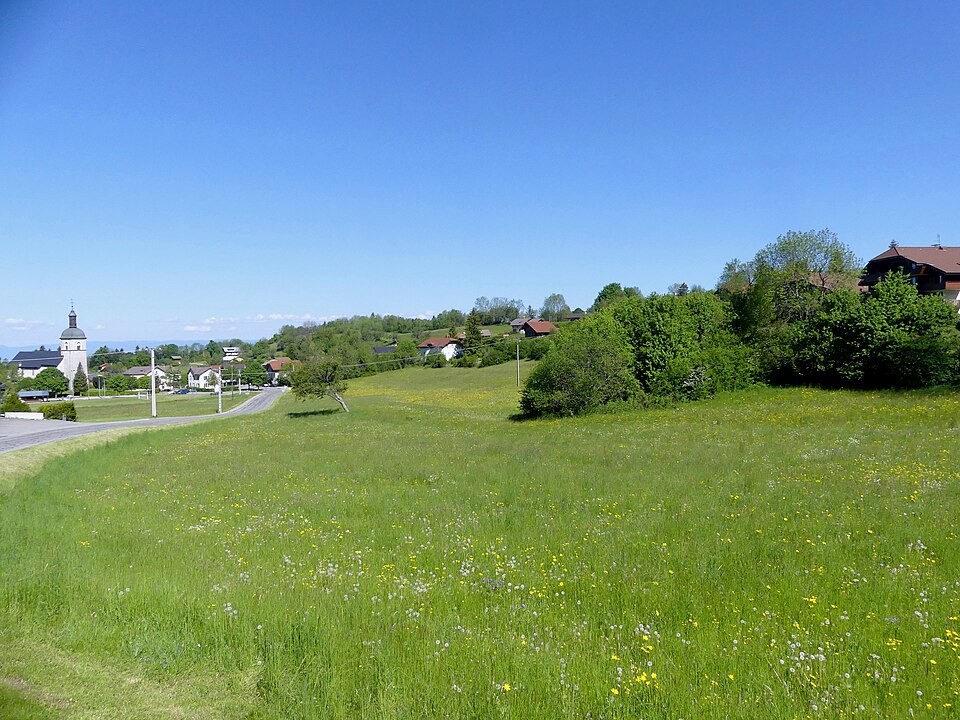 Pré au nord du chef — lieu de Thollon — les — Mémises (juin 2019)