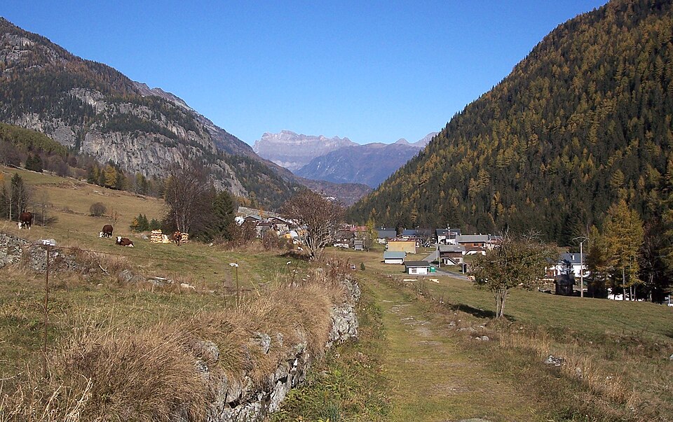 Vallorcine — champs