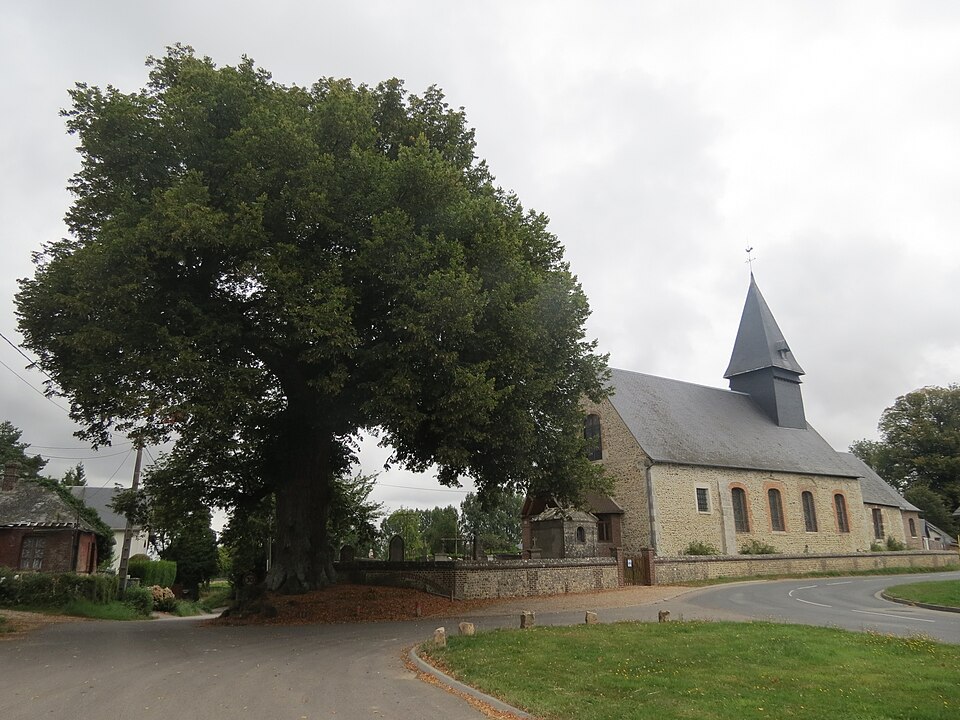 Église et tilleul Mesnil — Raoul